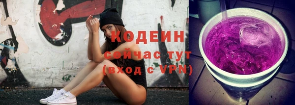 бошки Лабытнанги