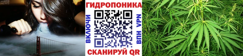 Канабис сатива  Купить где  Струнино 